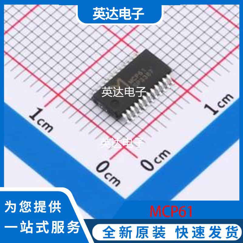 MCP61 原装正品 QSOP-24