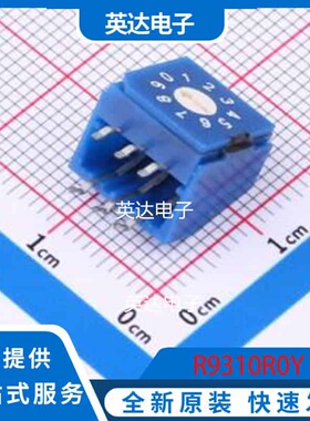 R9310R0Y DIP-6 原装正品