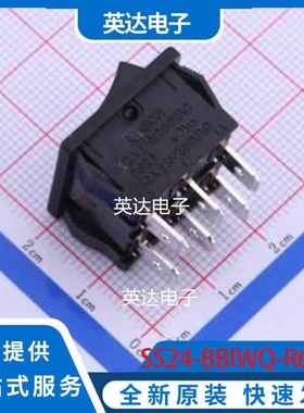 SS24-BBIWQ-R60-R 插件 原装正品