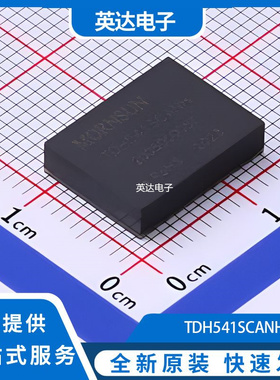 TDH541SCANH 原装正品 DFN-20(10x13)
