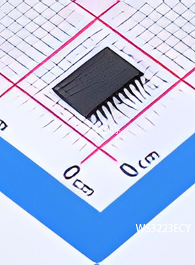 WS3223ECY 原装正品 SSOP-20
