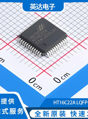 HT16C22A LQFP-48 原装正品 LQFP-48(7x7)