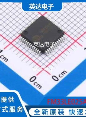 FM33LE025A 原装正品 LQFP-48(7x7)