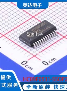 HC89F0531-SSOP24-T-M 原装正品 SSOP-24