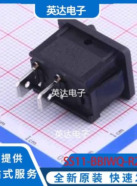 SS11-BBIWQ-R20-R 插件 原装正品