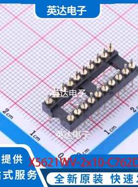 X5621WV-2x10-C762D1196-1196 DIP-20 原装正品