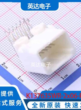 K137635WR-2x06-PTSNW 原装正品 -