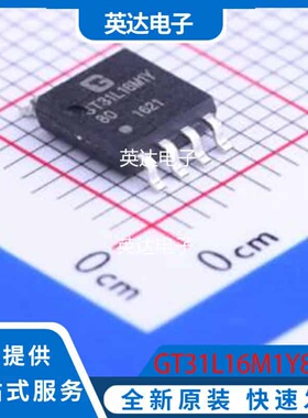 GT31L16M1Y80 原装正品 SOP-8-208mil