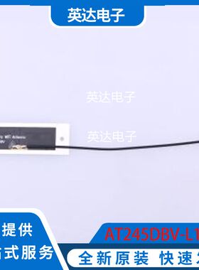 AT245DBV-L100 原装正品 -