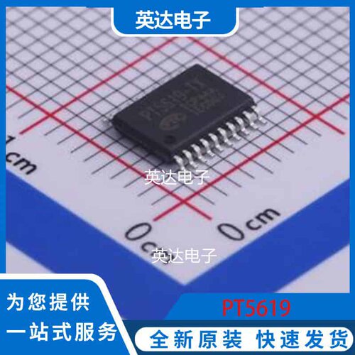 PT5619 TSSOP-20 原装正品