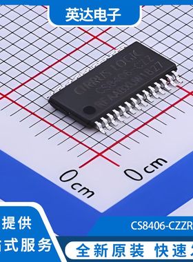 CS8406-CZZR 原装正品 1个/圆盘