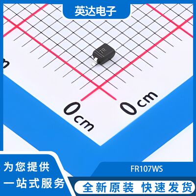 FR107W 原装正品 2000个/圆盘