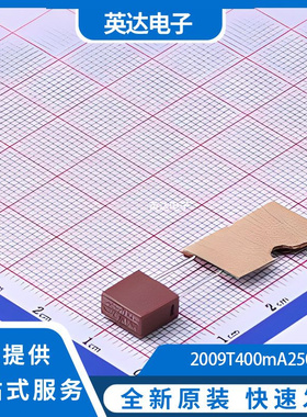 2009T400mA250V 原装正品 插件