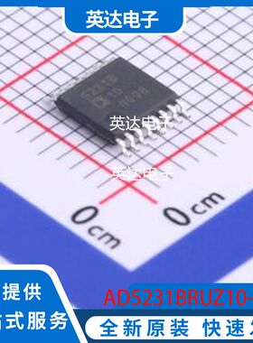 AD5231BRUZ10-REEL7 原装正品 TSSOP-16