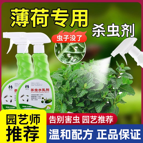 薄荷花卉盆栽植物通用型杀虫药剂