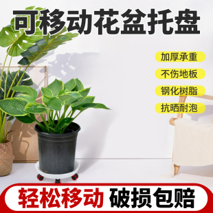 花盆托盘带轮底座塑料加厚移动滚轮树脂垫底万向轮家用防晒接水盘