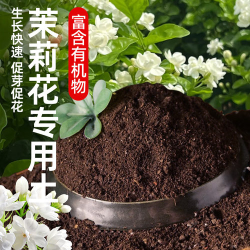营养土茉莉花专用型花土疏松透气