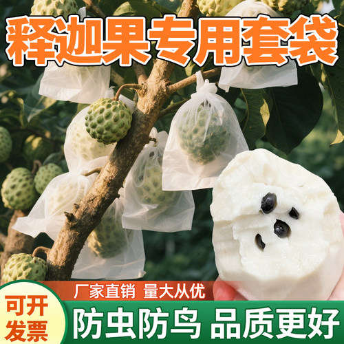 释迦果专用套袋透光透气防虫防鸟