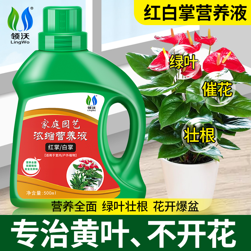 领沃红掌肥料专用肥土水培通用型