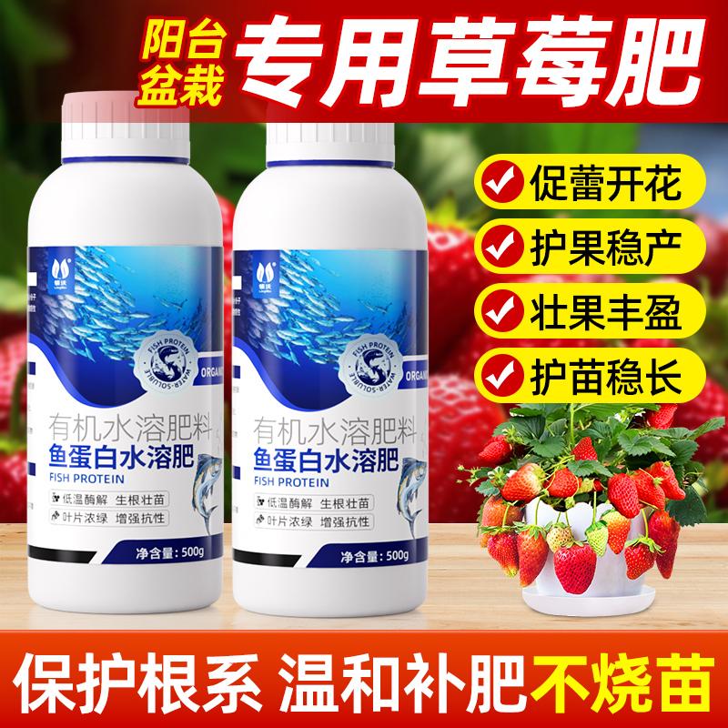 鱼蛋白有机肥阳台草莓营养液肥料