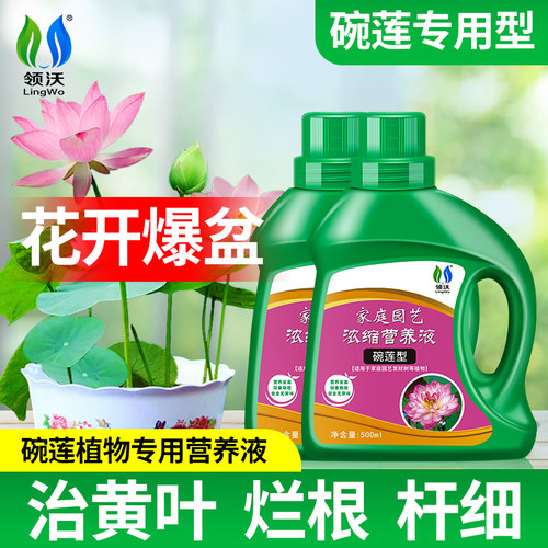 领沃碗莲肥料专用营养液莲花通用