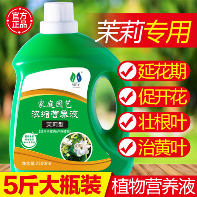 茉莉花专用营养液绿植养花肥料通