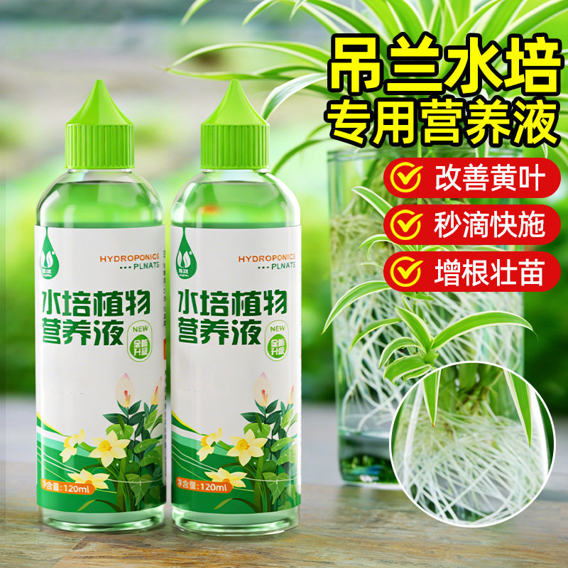 吊兰水培专用营养液植物通用型绿植富贵竹绿萝转运竹郁金香铜钱草