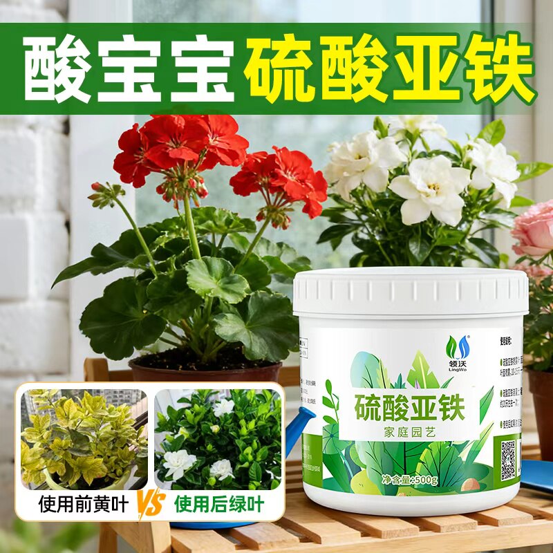 酸宝宝硫酸亚铁肥料花卉专用酸性肥植物土壤调酸栀子花茶花茉莉