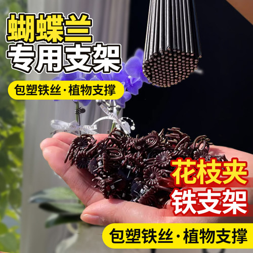 领沃蝴蝶兰支架夹子支撑杆专用型