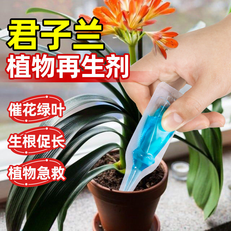植物再生剂君子兰专用浓缩营养液四季绿植花卉室内外通用型花肥料