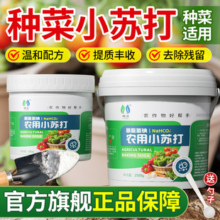 种菜专用农用小苏打碳酸氢钠农作物花卉绿植蔬菜防治病害虫害杀菌
