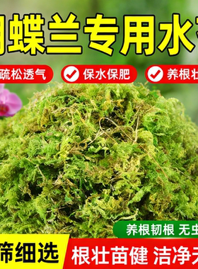 蝴蝶兰专用水苔干苔藓青苔花盆兰花土种植松树皮保水保肥疏松透气