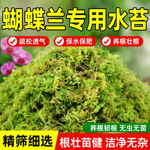 蝴蝶兰专用水苔干苔藓青苔专用