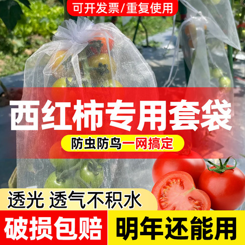 领沃西红柿套袋瓜果蔬防虫防鸟袋
