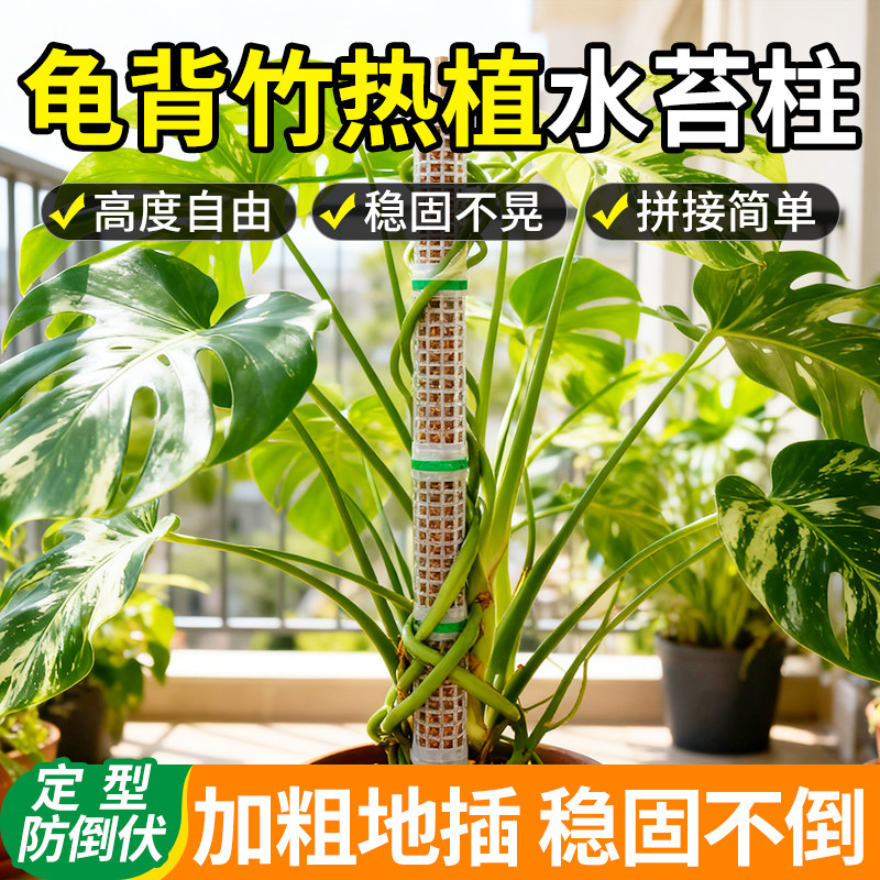 水苔柱爬藤植物专用新型加厚加粗图片