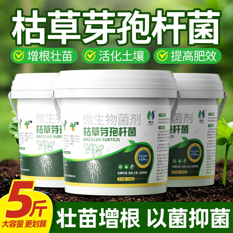枯草芽孢菌杆菌旗舰店正品微生物菌剂哈茨木霉菌改善土壤有机肥料