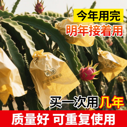 火龙果套袋防虫防鸟专用纸袋番茄