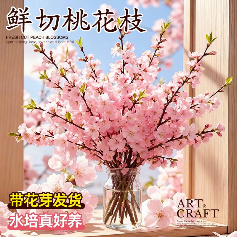 带花桃花枝干枝办公室客厅春夏季