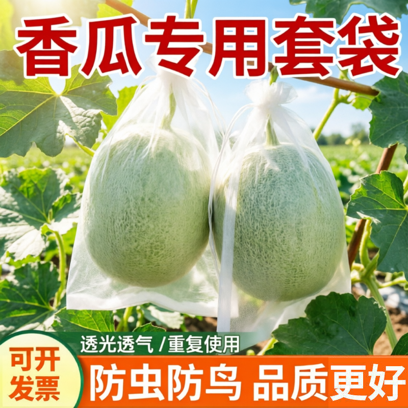 香瓜套袋专用甜瓜羊角蜜防虫防鸟袋保护套水果透光透气尼龙网纱袋
