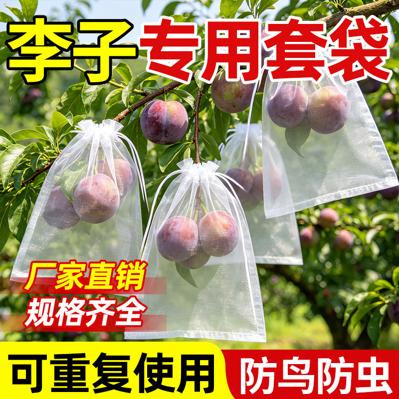 李子专用套袋水果保护罩防虫防鸟袋透光透气通用经久耐用尼龙网袋