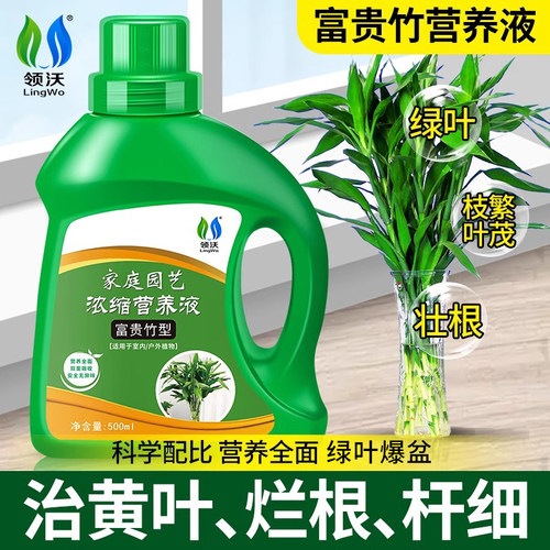 领沃富贵竹专用营养液浓缩液体肥