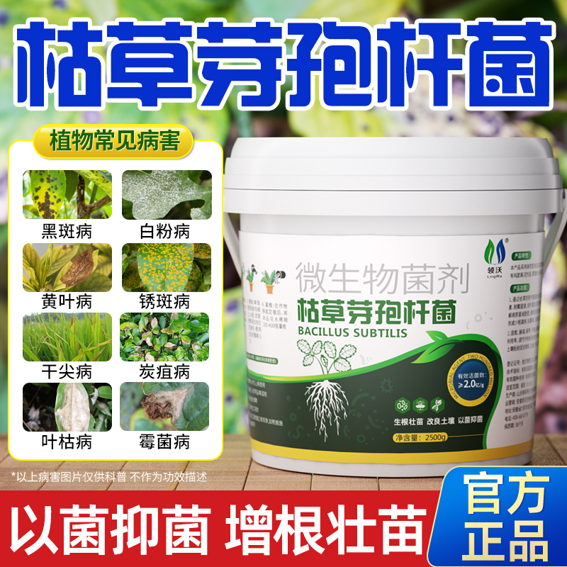 枯草芽孢菌杆旗舰店正品微生物肥