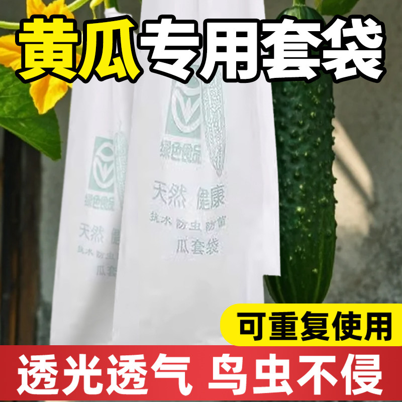 黄瓜套袋专用防虫防鸟网防鼠农用保护苦丝瓜套蔬菜通用型孕果纸袋