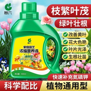 营养液植物通用型绿萝多肉僵苗黄叶急救水培养花卉绿植盆栽花肥料
