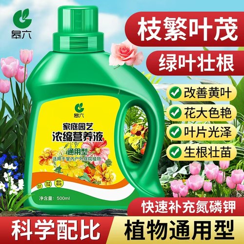 领沃营养液通用微量元素防治黄叶