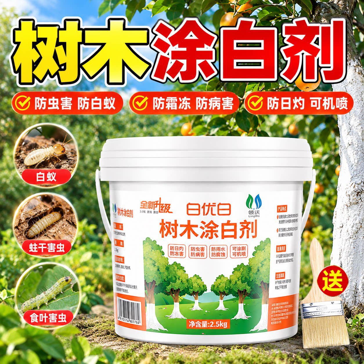 树木树干防虫涂白剂果树专用杀菌抗寒防冻盆景防护植物保护石灰粉