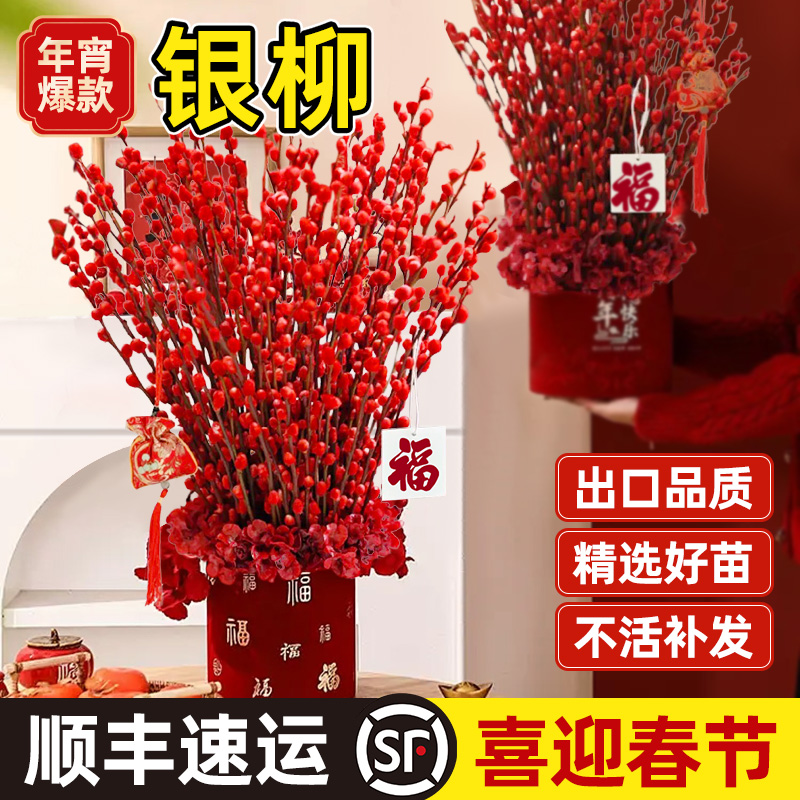 银柳真花鲜枝迎新年招财好运
