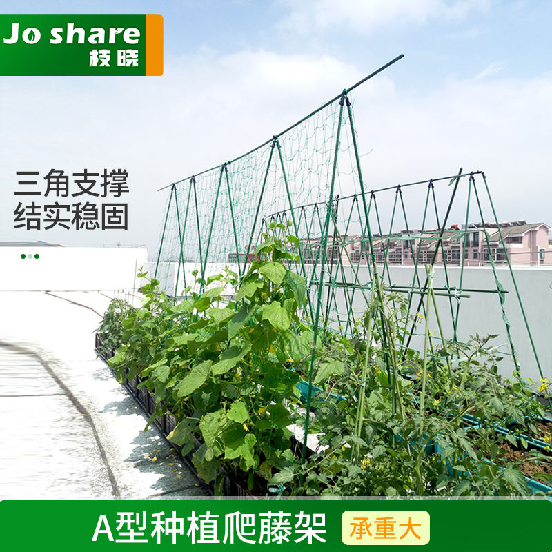 花架阳台户外庭院爬藤三角形种菜铁艺支撑架种蔬菜绿植豆角攀爬架