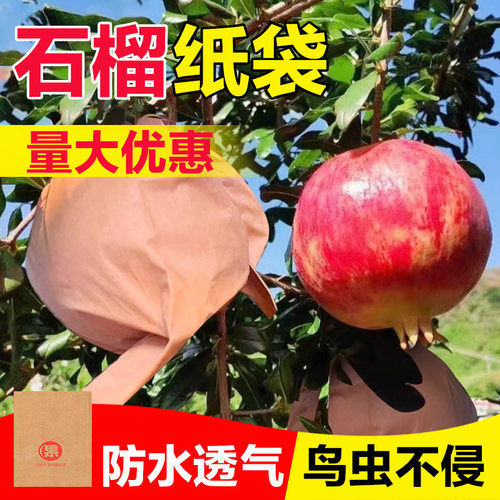 领沃石榴纸袋防虫防鸟可重复使用