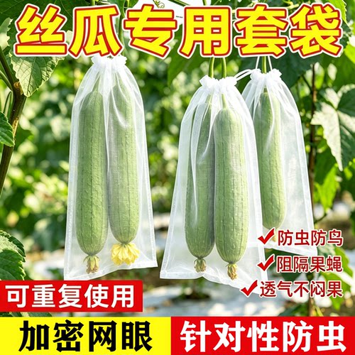 丝瓜黄瓜苦瓜套袋纱袋防虫专用袋